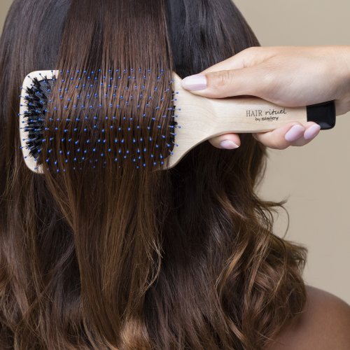 SISLEY La Brosse de Poche Brillance & Douceur 3473311690401 SISLEY La Brosse de Poche Brillance & Douceur 3473311690401